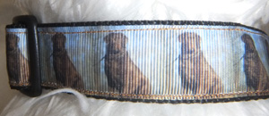 photo of Dog Collar - Border Terrier