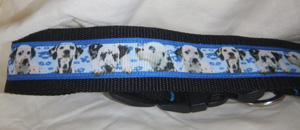 photo of Printed Collar - Dalmatian 38mm