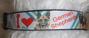 photo of Dog Collar - Border Terrier