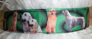 photo of Dog Collar - Golden Retriever