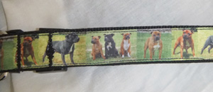 photo of Printed Collar - Staffie