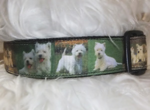 photo of Westie Printed Collar