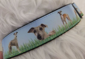 photo of Printed Collar - Whippet