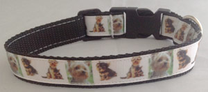 photo of Dog Collar - Border Terrier