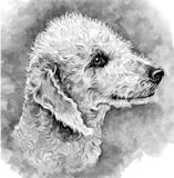 photo of Bedlington Terrier greetings card