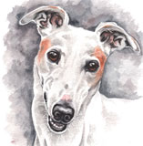 photo of Greyhound greetings card