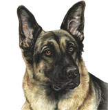 photo of German Shepherd greetings card