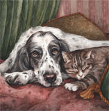 photo of The Best Of Friends Dog and Cat greetings card