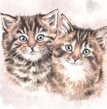 photo of Kittens greetings card