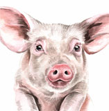 photo of Pig greetings card