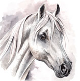 photo of White Horse greetings card
