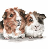 photo of Guinea Pigs greetings card