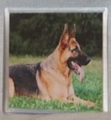 photo of German Shepherd Coaster