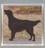 photo of Single Flat Coated Retriever with Wording Coaster