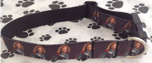 photo of dog collar - Thor