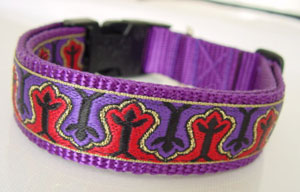photo of Purple Hays Collar