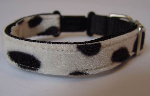 photo of Black Spots Collar