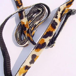 photo of Leopard Skin Big Cat Set