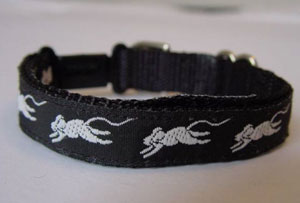 photo of Running Mouse Collar