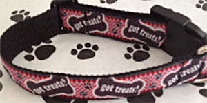 photo of dog collar - Got Treats