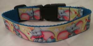 photo of Dumbo on Blue Webbing Collar