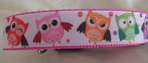 photo of Multi coloured Owls Dog Collar