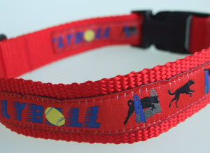 photo of Woven Collar - Flyball - Red
