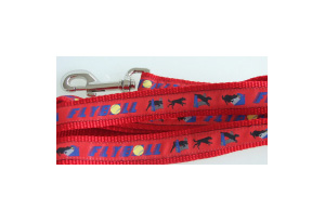 photo of Woven Lead - Flyball - Small - Red