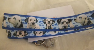 photo of Lanyard