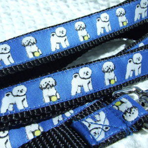 Bichon Frise Lead - Blue on Black Woven