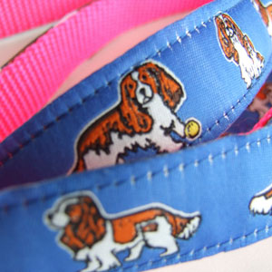 photo of Cavalier King Charles Blenheim Blue on Pink Lead