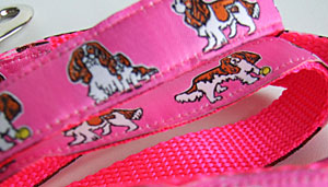 photo of Cavalier King Charles Blenheim Hot Pink Lead