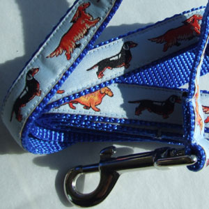 photo of Standard Dachshund Blue Woven Lead