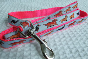 photo of Standard Dachshund Blue Woven Lead