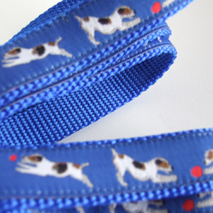photo of Jack Russell Terrier Blue Woven Lead