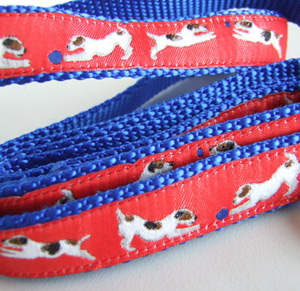 photo of Jack Russell Terrier Red on Blue Woven Lead