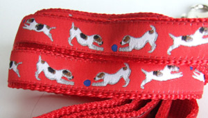 photo of Jack Russell Terrier Red Woven Lead