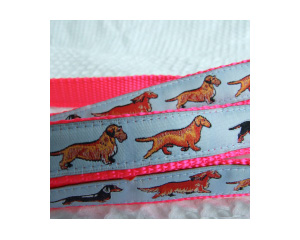 photo of Miniature Dachshund Blue Woven Lead