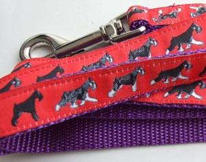 photo of Miniature Schnauzer Red on Purple Woven Lead