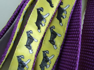 photo of Miniature Schnauzer Yellow on Purple Woven Lead