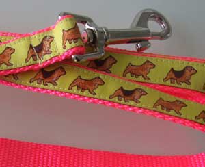 photo of Norwich Terrier Yellow on Pink Woven Lead