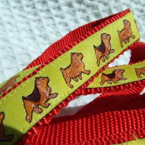 photo of Norwich Terrier Yellow on Red Woven Lead