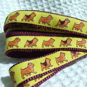 photo of Norwich Terrier Yellow on Vine Red Woven Lead
