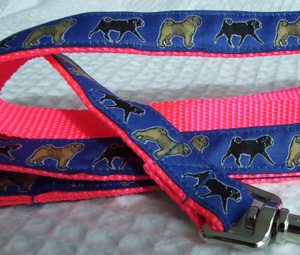 photo of Pug on Blue/Pink Lead