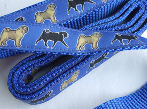 photo of Pug on Blue Lead