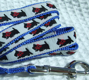 photo of Scottish Terrier Lead - White on Blue Woven