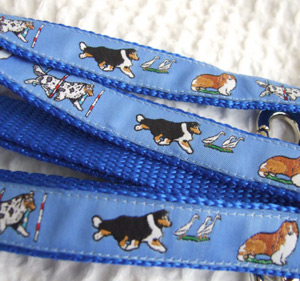 photo of Shetland Sheepdog Blue Woven Lead