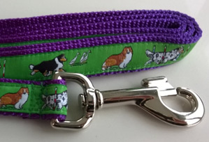 photo of Shetland Sheepdog Green on Purple Woven Lead