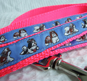 photo of Shih Tzu on Blue Lead