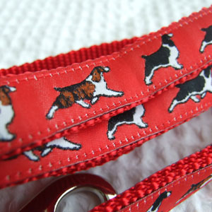 photo of Woven Collar - Springer Spaniel - Red